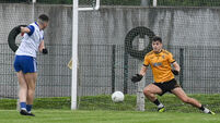 SAFC: Anthony O'Connor on song as Knocknagree beat Fermoy