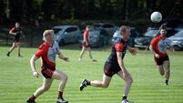 Late Hugh O'Connor points secure deserved draw for Newmarket against Ballingeary