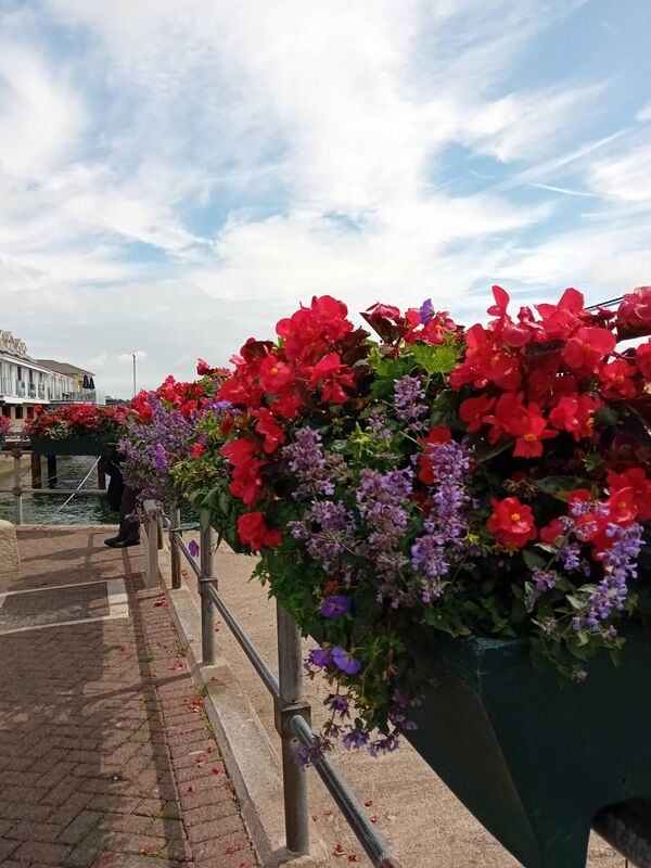 Cobh in bloom, thanks to the local tidy towns committee.