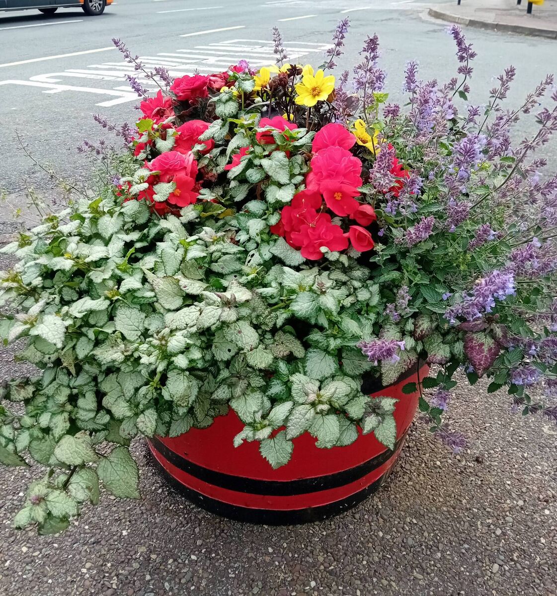 Pots are dotted around the town to bring colour and life. Pots are dotted around the town to bring colour and life.