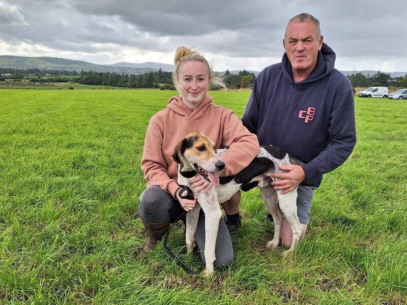 Draghunting: Barry and Niamh O'Keeffe with Captain James of Shanakiel Harriers who will be a leading fancy for Singleton's SuperValu Senior Draghunt at Blarney. Draghunting: Barry and Niamh O'Keeffe with Captain James of Shanakiel Harriers who will be a leading fancy for Singleton's SuperValu Senior Draghunt at Blarney.