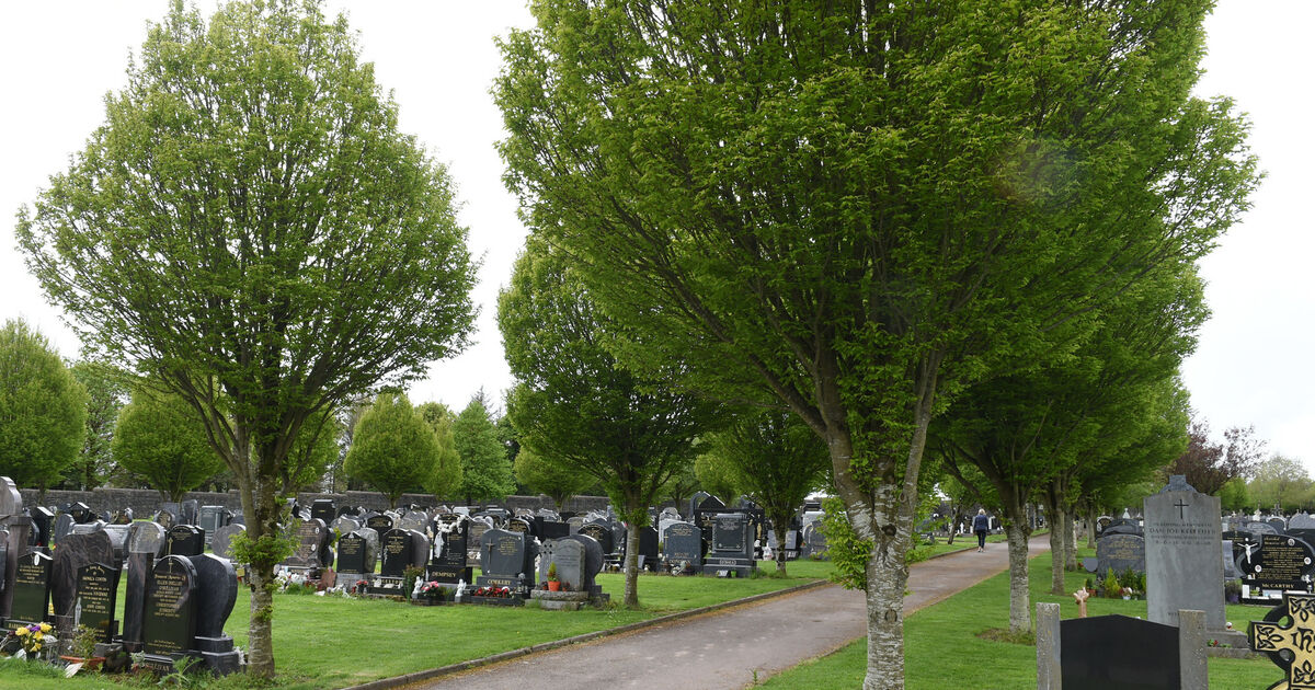 'We share people's revulsion': Cork City Council condemns revving of car engines and loud music at northside cemetery - Vimarsana News