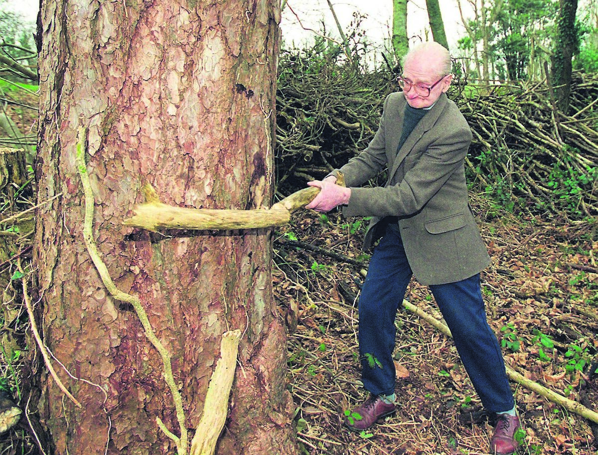 Ninety-year-old Joey Kerrigan showing that age is a matter of attitude as he goes about collecting firewood for the “old people”. Picture: Richard Mills.