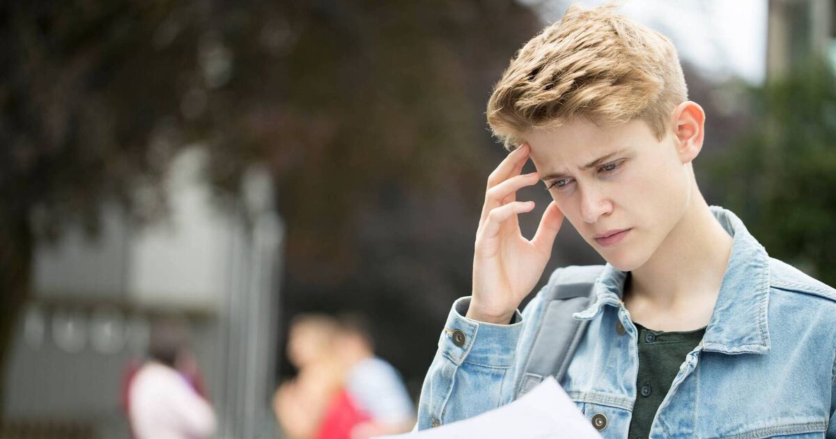 Leaving Cert results: All you need to know - Vimarsana News
