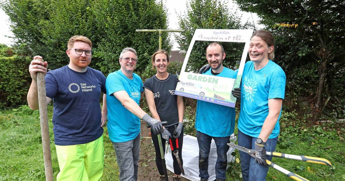 'Garden Blitz' event sees elderly people team up with volunteers to renew Cork gardens - Vimarsana News