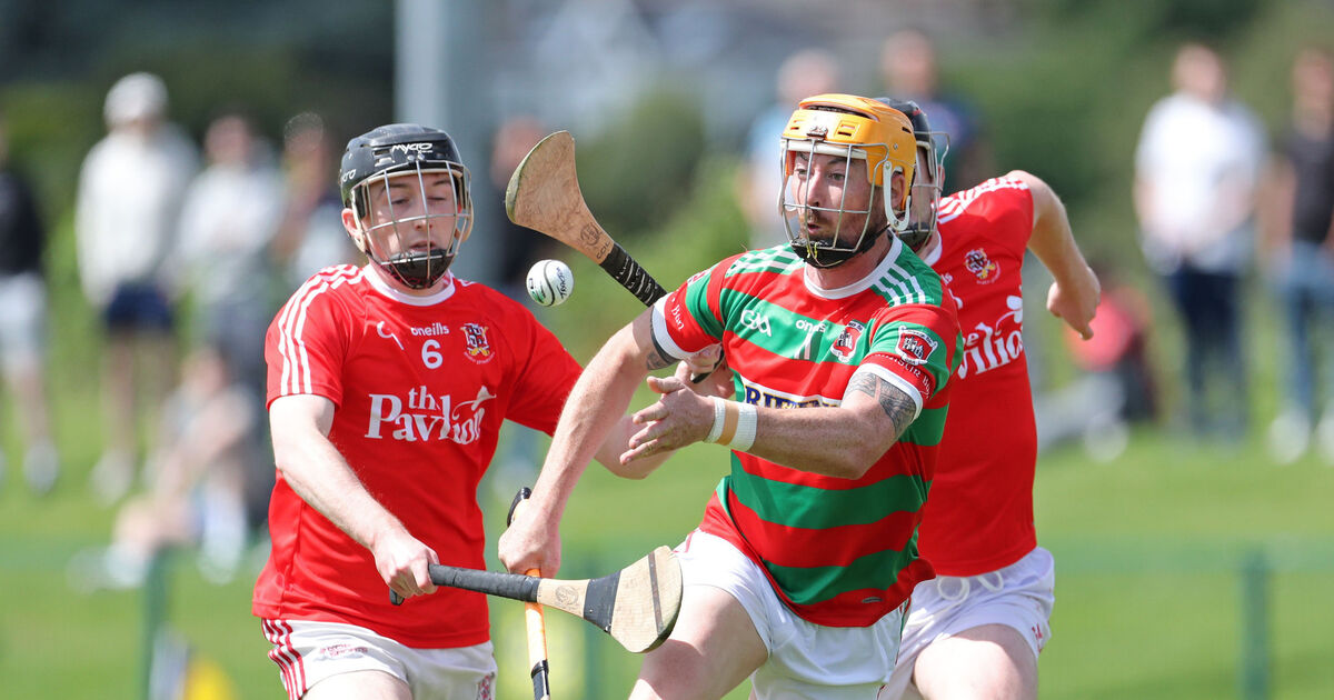 Cork Premier Junior Hurling What each team need to do to qualify