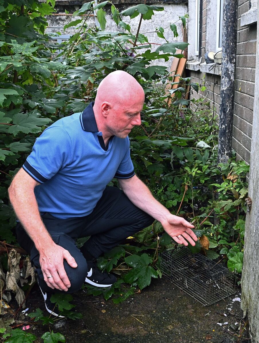 Community activist William O’Brien pointing to a rat trap in an overgrown area at the back of a flat at Noonan’s Road, Cork. Picture: Denis Minihane. Community activist William O’Brien pointing to a rat trap in an overgrown area at the back of a flat at Noonan’s Road, Cork. Picture: Denis Minihane.