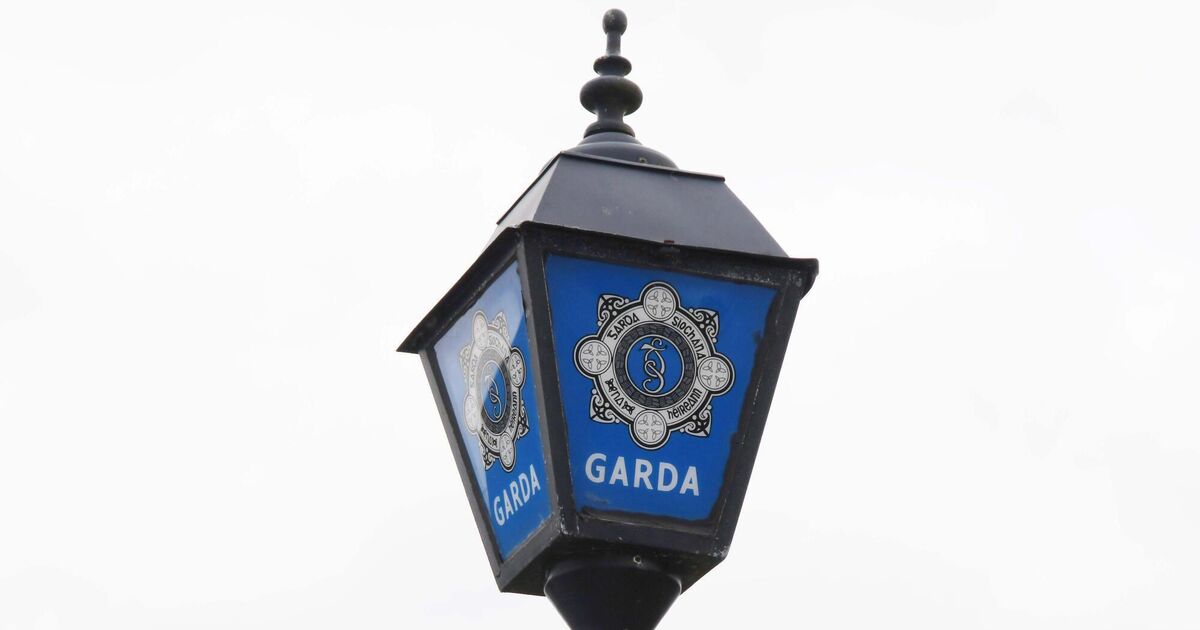 Prominent protestor arrested in Cork city for alleged harassment - Vimarsana News