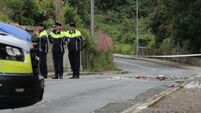 Worrying trend of road fatalities this year, says TD