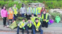 How do Mallow Tidy Towns keep their locality looking so well?