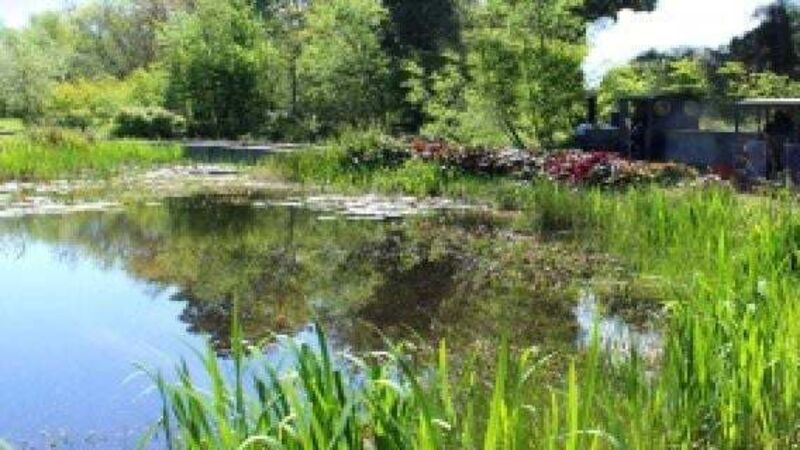 Midland bogs set to be developed into a tourist destination