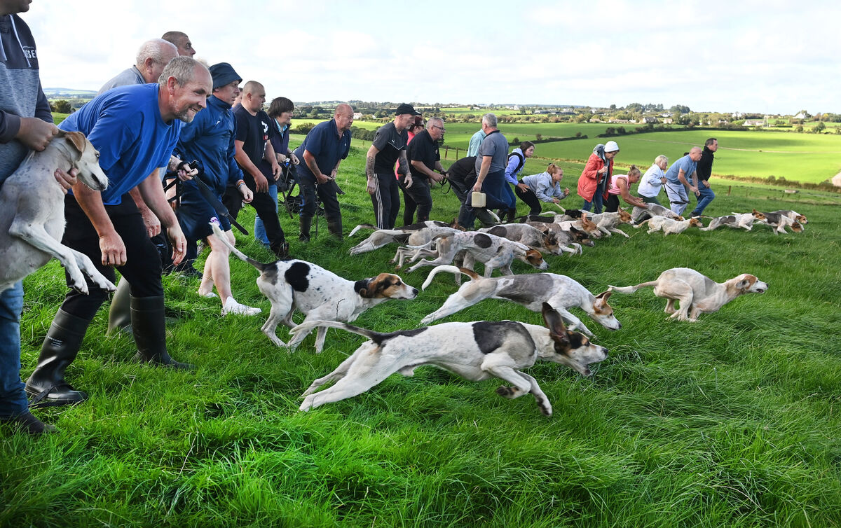 All off at the maiden race at the Donal O'Mahony Singleton's SuperValu Draghunt at Dawstown. Picture: Eddie O'Hare