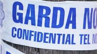 Two men arrested following shooting incident in Co Clare