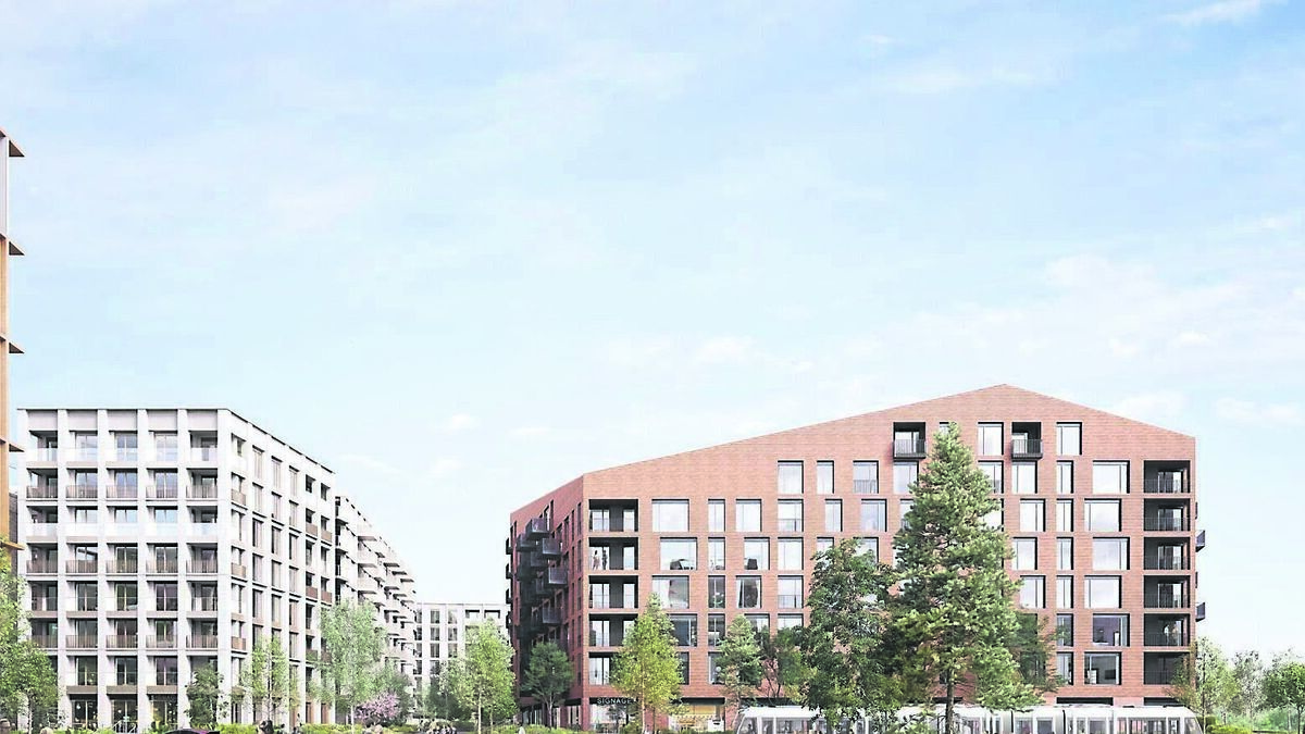 'Exactly what the city needs': Chamber welcomes Cork docklands development