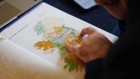 Number of TDs to increase by 14 with four new constituencies