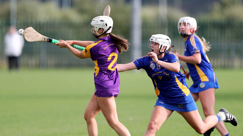 Linda Mellerick on camogie: Crunch time for Cork clubs Linda Mellerick on camogie: Crunch time for Cork clubs
