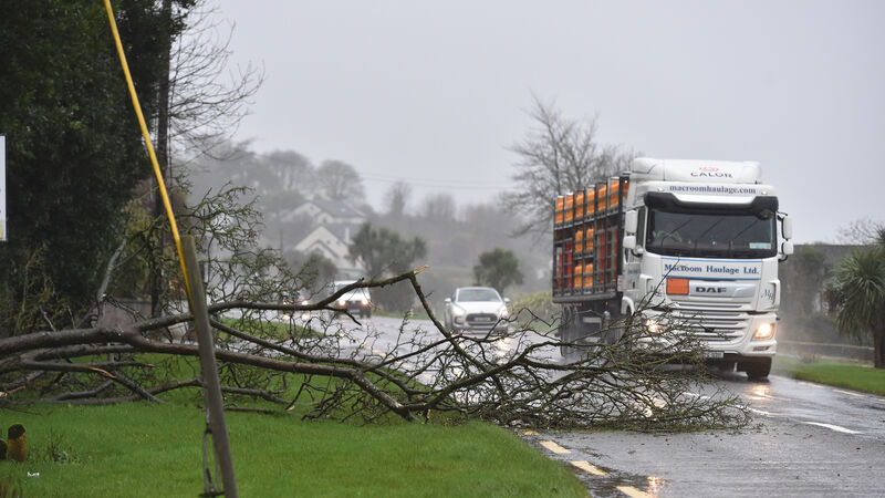Storm names honour scientists across island of Ireland