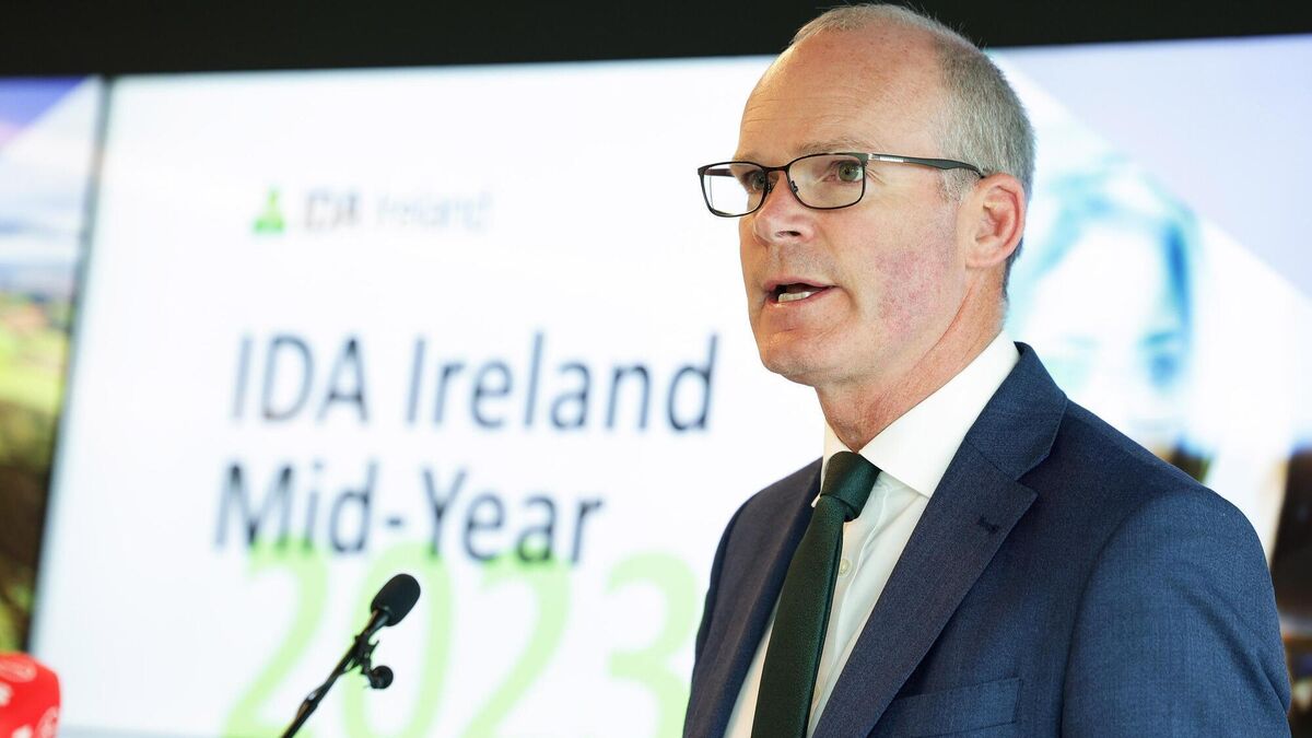 Coveney: Not acceptable that Lord Mayor was 'effectively harassed' last weekend 