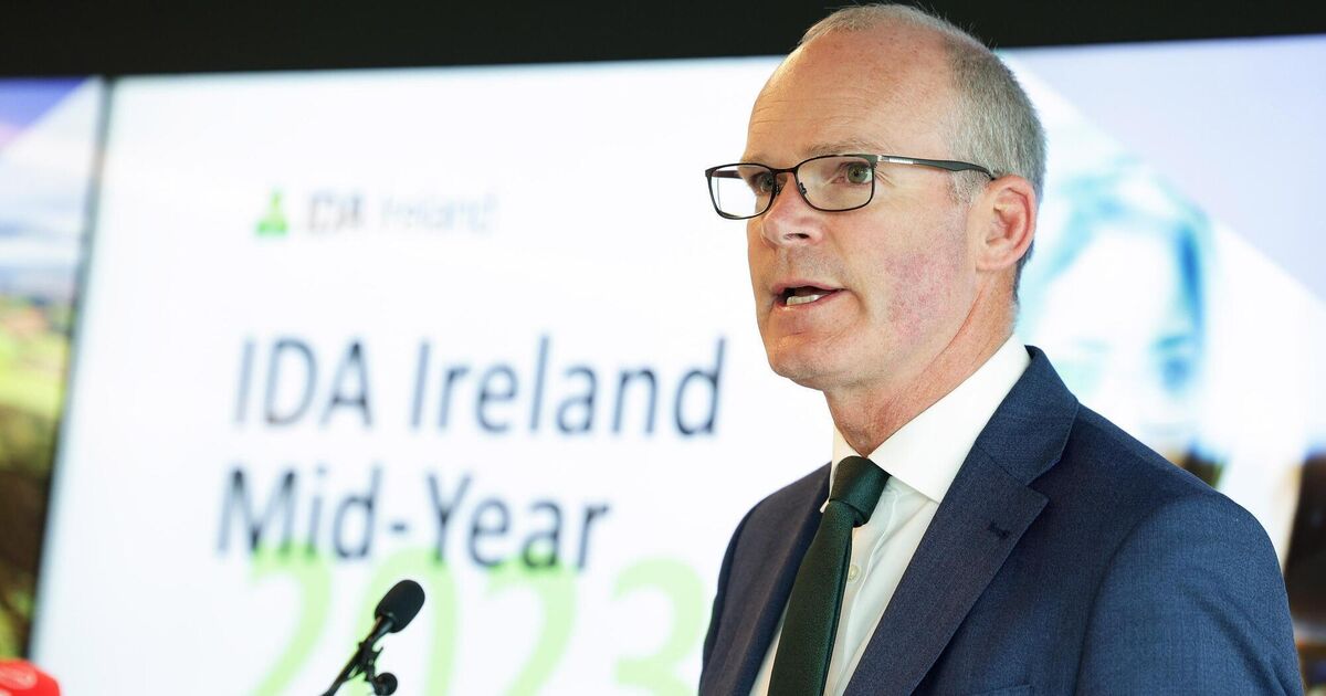 Coveney: Not acceptable that Lord Mayor was 'effectively harassed' last weekend - Vimarsana News