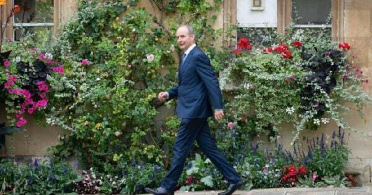 Micheál Martin defends plan to increase number of TDs amid boundaries review - Vimarsana News