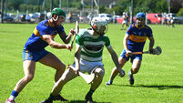 PIHC: Valley Rovers defeat rivals Carrigaline to progress