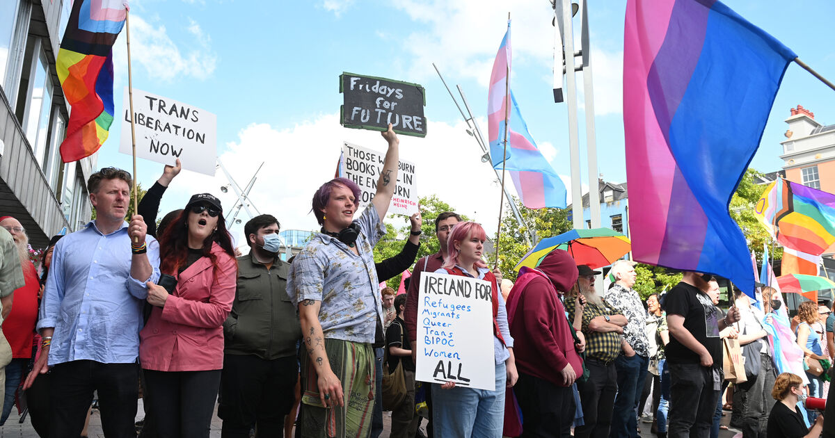 One person arrested in Cork city amid opposing rallies on Saturday - Vimarsana News