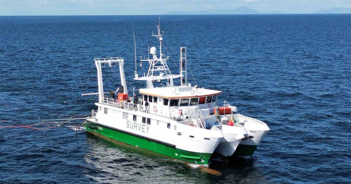 Green Rebel surveys will inform Ireland's offshore energy development plans - Vimarsana News