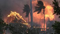 Burning questions around spread of wildfires