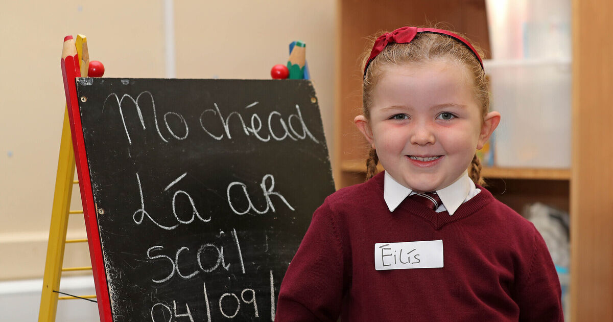 Pictures: Record number of 44 junior infants start in Cork City primary school - Vimarsana News