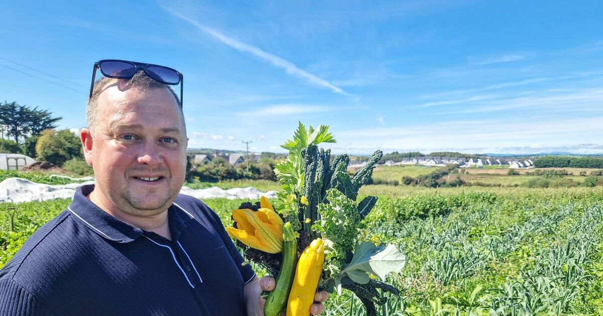 Farm to fork delights at Glenbrook Farm - Vimarsana News