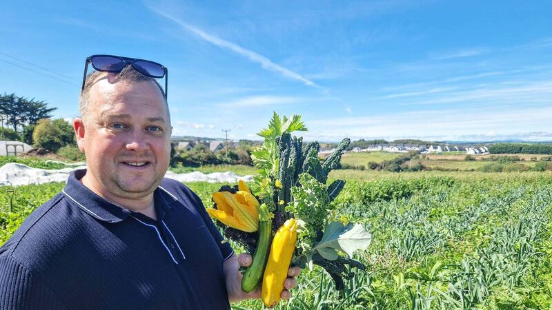 Farm to fork delights at Glenbrook Farm