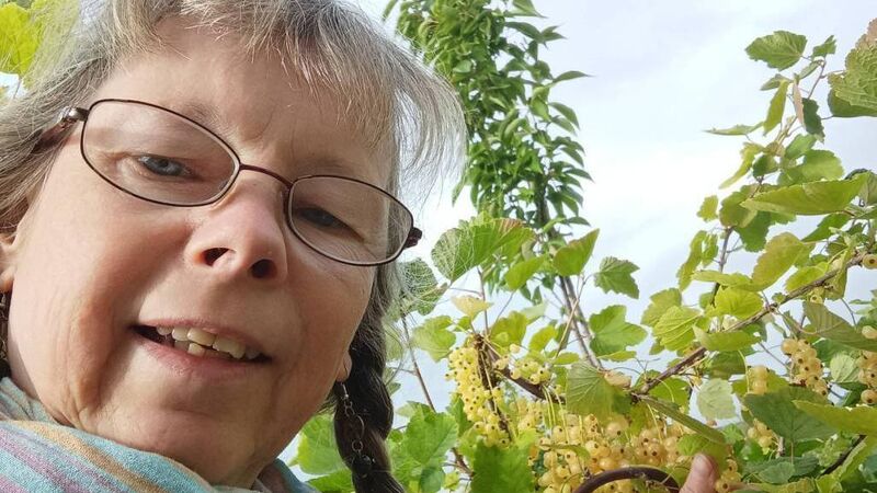Person to Person: I produce sustainable jams and pickles from my home in East Cork