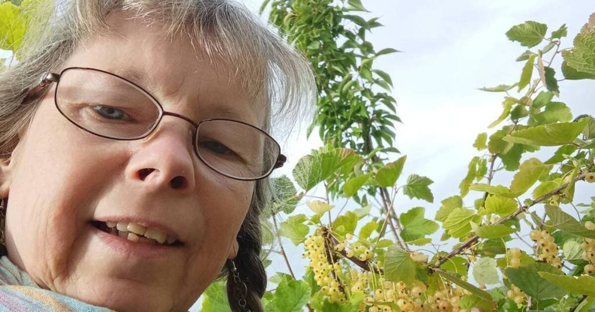 Person to Person: I produce sustainable jams and pickles from my home in East Cork - Vimarsana News