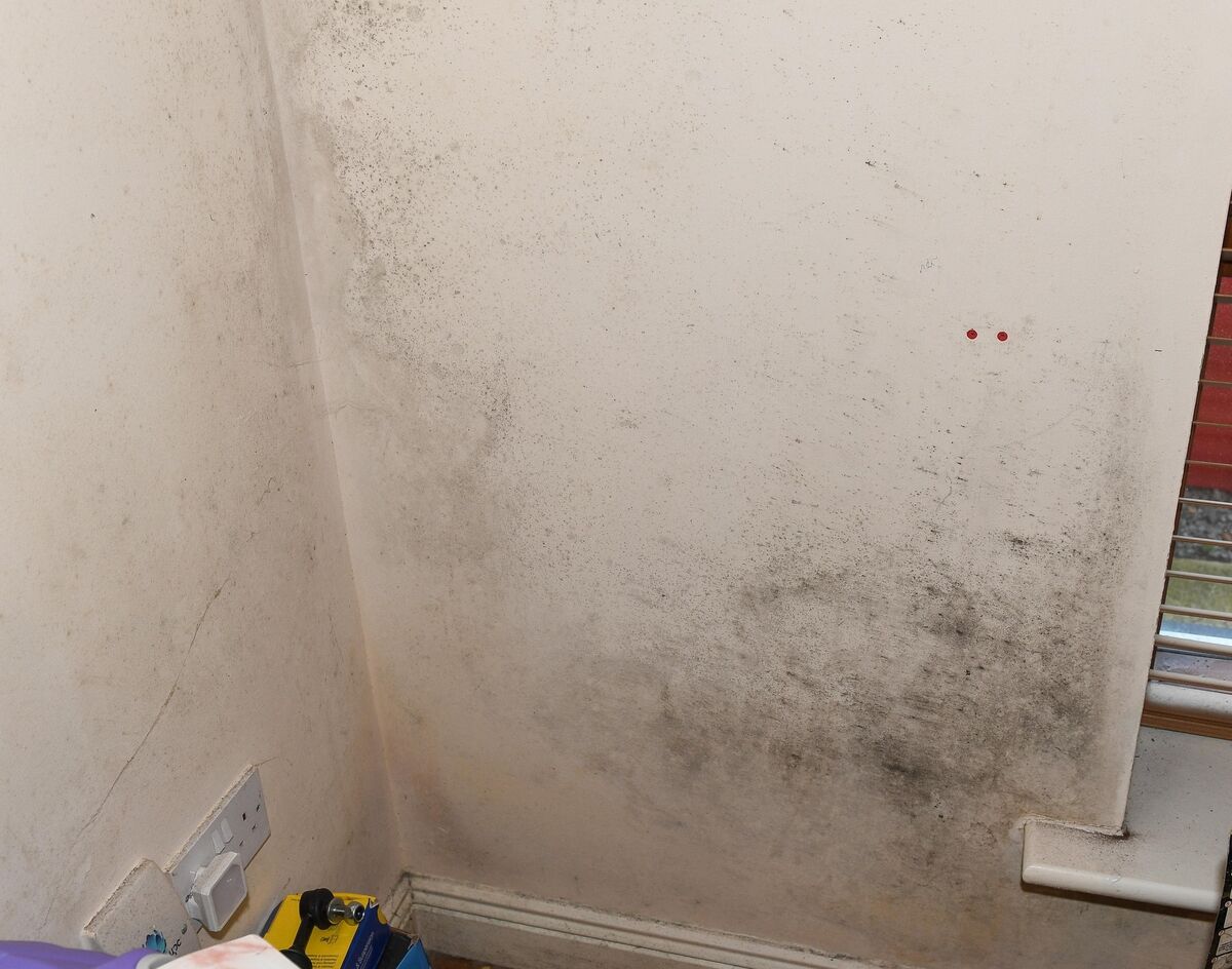  Mould on one of the bedroom walls at a home in the Glentrasna estate in The Glen.Picture: David Keane.