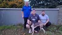 Cork Draghunting: Blue Daisy pips kennelmate Blue Lad at Crossmahon