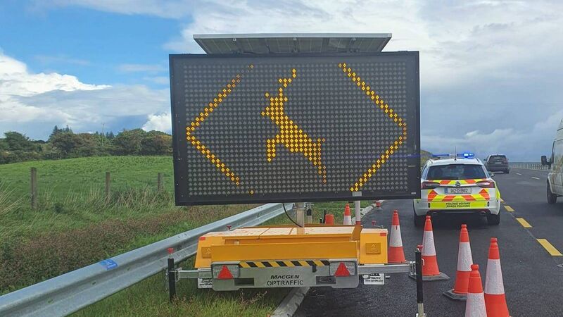 Motorists urged to be aware of deer on Macroom bypass as warning signs installed Motorists urged to be aware of deer on Macroom bypass as warning signs installed