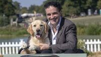 TV vet Noel Fitzpatrick in tears as he explains importance of ‘being useful’