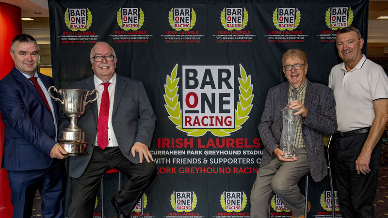 Irish Greyhound Laurels expected to bring huge crowds to Curraheen Park for the next five weeks