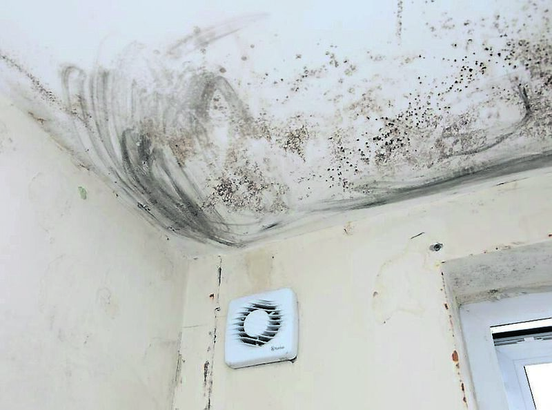 Mould coming through the paintwork is an example of the poor housing conditions in homes on Baker’s Road.	 Picture: David Creedon