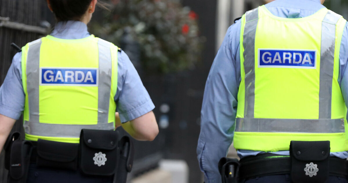 'There simply aren't enough stationed locally': Calls for increased garda presence in Cork town - Vimarsana News