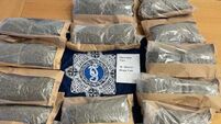 Two men arrested after drugs seizure in Dublin
