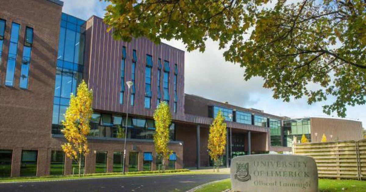 Seven Cork students among those to benefit from McManus scholarship - Vimarsana News
