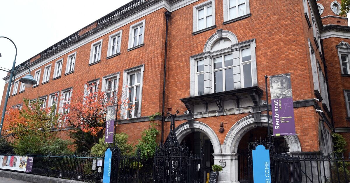 Protestor who threw soup on painting at Cork gallery has sentencing delayed for psychiatric report - Vimarsana News