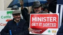 Farmers' group says Varadkar will invite EU Commissioner to Ireland over nitrates cut