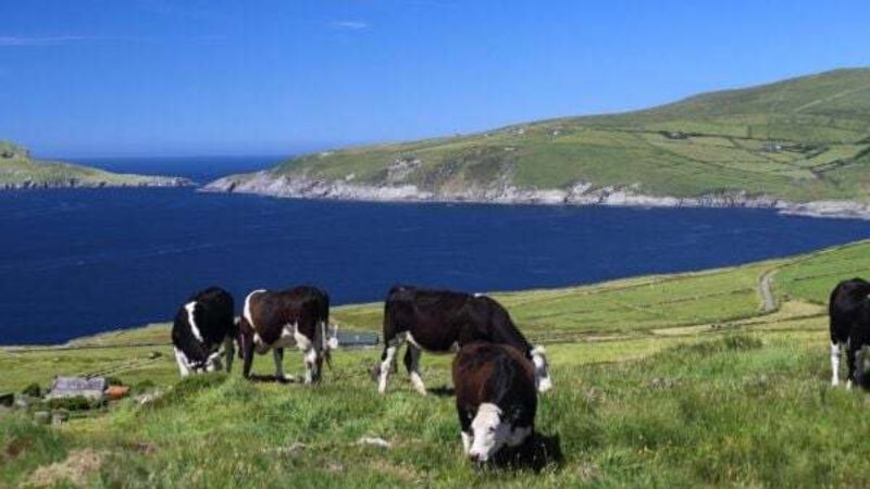 Minister not overruled by Taoiseach on EU nitrates issue, colleague insists Minister not overruled by Taoiseach on EU nitrates issue, colleague insists
