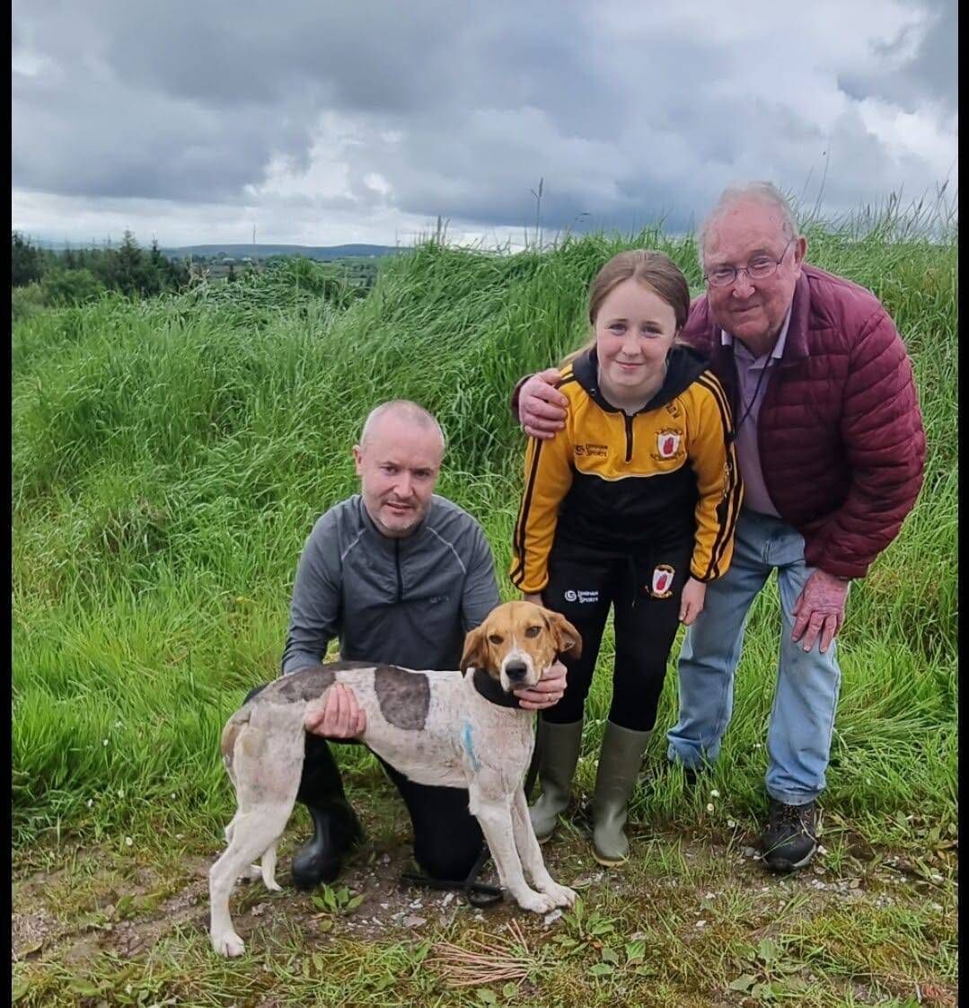 Troy O'Mahony with Hannah Banana of Mayfield Harriers, winner of the Kerry Pike/ Fair Hill Harriers Puppy draghunt at Fair Hill.