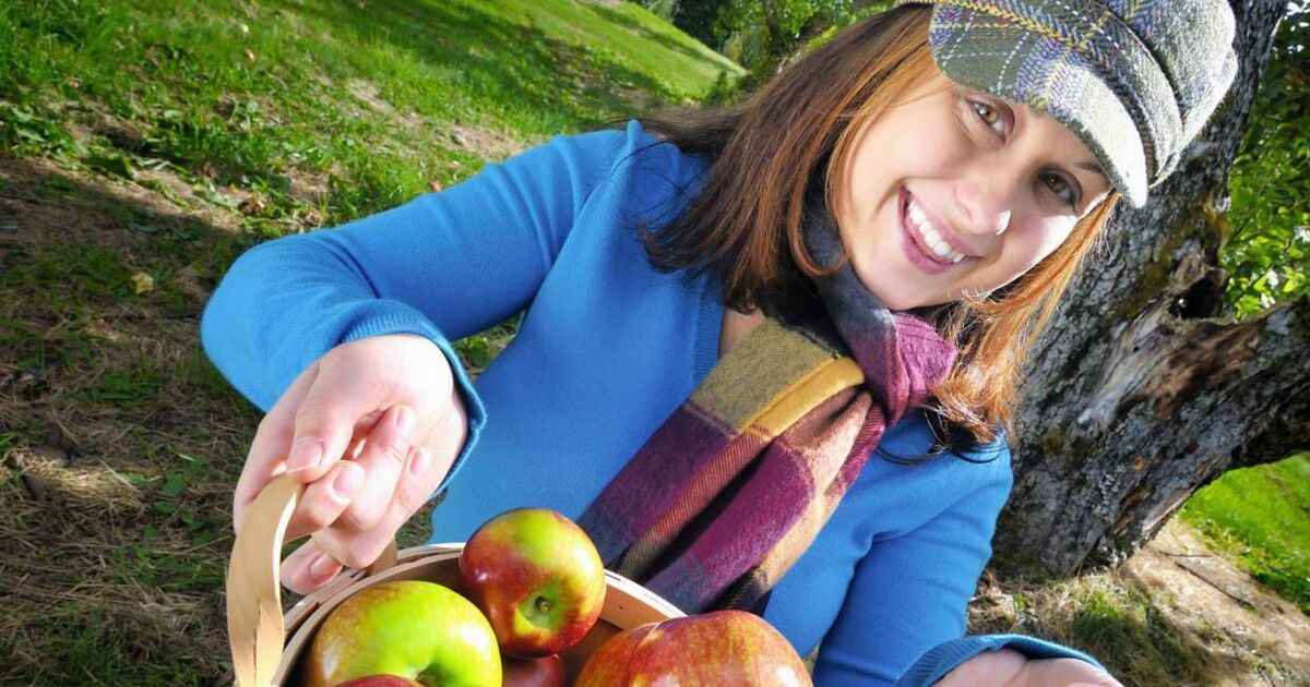 You are what you eat, so don't be an 'ultra processed food' - Vimarsana News