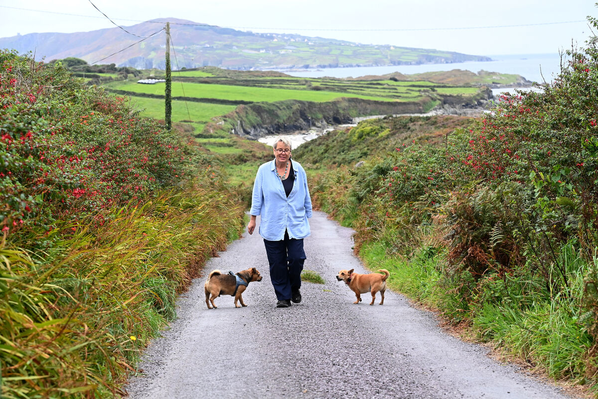 Mags walking her dogs. Mags walking her dogs.