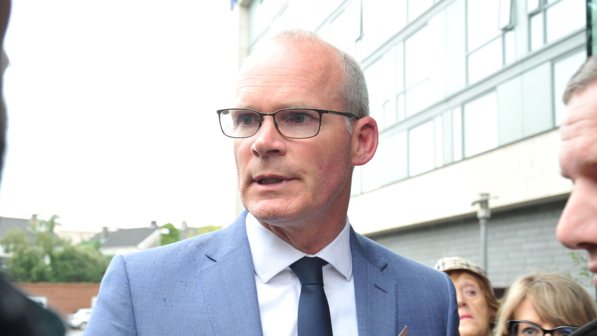 Government will stick with plan for budget, says Coveney