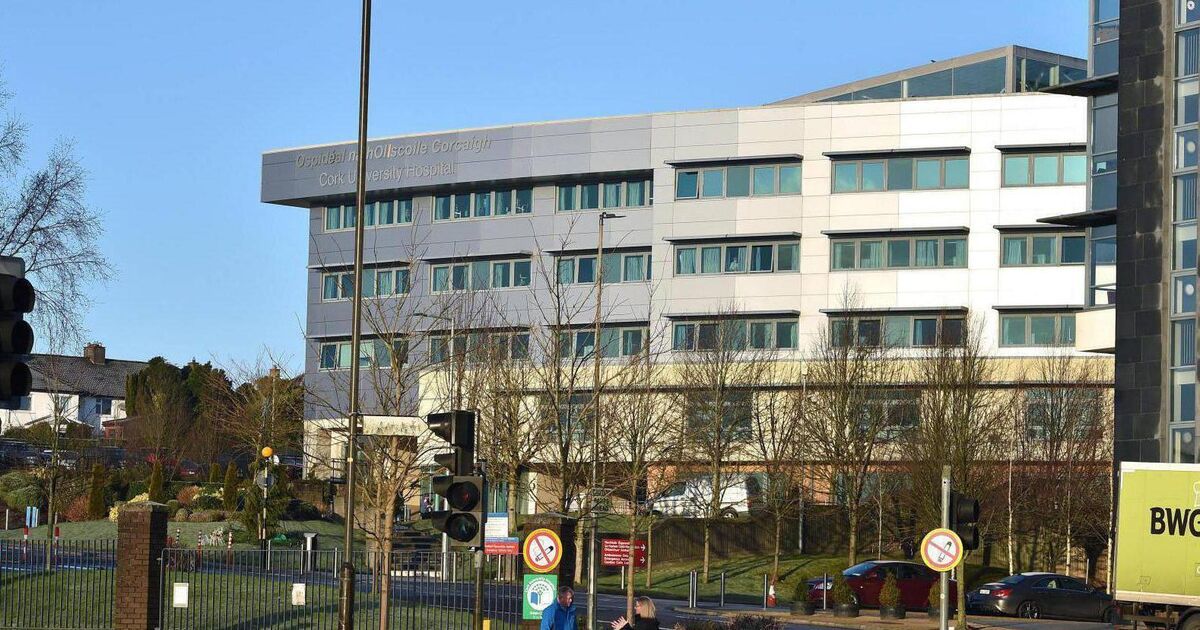 Suspended sentence for drunken man who shouted abuse at CUH security staff - Vimarsana News